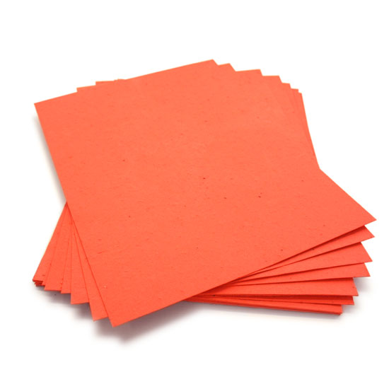 8.5 x 11 Tangerine Plantable Seed Paper - Botanical PaperWorks